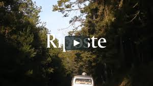 「allintext:add new comment blog, riposte」的圖片搜尋結果