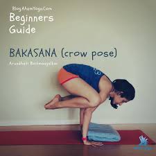 Bakasana (crane) posture is also known as the crow posture in yoga. Beginners Guide Bakasana Aham Yoga Blog
