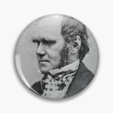 Charles Young Pins and Buttons for Sale