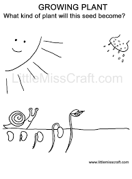 Lavender flowers create an aroma …. Crafts Growing Plant Doodle Coloring Page Flower Coloring Pages Plant Doodle Coloring Pages For Kids