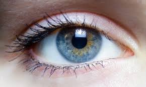 We did not find results for: Eyes 15 Facts You Probably Didn T Know About Them Eyecare Associates Of Lee S Summit
