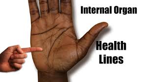Health Line Markings On The Palm Chinese Palm Reading Palm Reading Palmistry Reading Palmistry