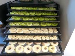 Deshydrater Les Fruits Et Legumes Passion Potager Recettes De Cuisine Cuisine Et Boissons Fruits Et Legumes