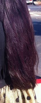 Manic Panic Purple Haze Over Virgin Black Hair Dyed Hair Hair Color Dark Hair