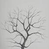 Pencil drawing tutorials landscape pencil drawings art realistic drawings face drawing grass drawing water drawing tree drawing color pencil drawing. Https Encrypted Tbn0 Gstatic Com Images Q Tbn And9gcrgd92fixrxruxaqo6wojecrs7eprwqenkogxm2jq08pu3avdsj Usqp Cau