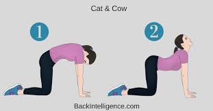 Pin On Benefits Of Yoga Easing Back Pain