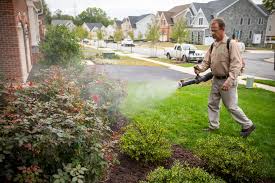 Following are the best yard mosquito repellents and sprays that we have found on the market today. Reducing Mosquitoes In Your Yard What Works In Central Southern Md