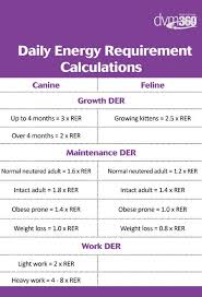 Calculate The Perfect Portions For Pets Vet Tech Student