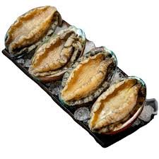 Like other univalve snails, it has a single shell on top and uses a large foot to cling to rocks and eat algae. Frozen Blanched Abalone With Shell Buy Blanched Abalone For Sale Abalone Farm Frozen Abalone Product On Alibaba Com