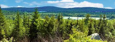 Camping the maine coast is at its most rustic at quietside, a campground that contains 35 campsites set evenly through a thick forest. Camping In Maine Sleeping Bear Lodge Campground Cabins