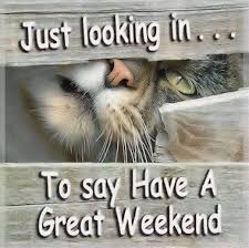 I am sure this year gonna be your greatest, most wonderful, spectacular and successful year ever! Have A Good Weekend Quotes And Sayings Quotesgram