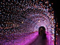 Holiday Lights Tunnel At Lincoln Park Zoo Chicago Zoo Lights Chicago Christmas Windy City Chicago
