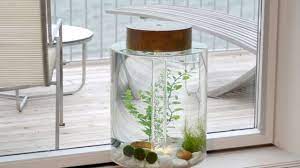 Model aquarium minimalis unik terbaru. 11 Desain Aquarium Mini Dan Unik Cocok Untuk Hiasan Rumah