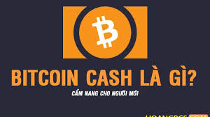 Giá bitcoin cash hôm nay là 569.71 usd (cập nhật lúc 08:19:08 19/06/2021). Bitcoin Cash La Gi Co Nen Ä'áº§u TÆ° Bitcoin Cash Khong Mua á» Ä'au Kiáº¿m Tiá»n Blog