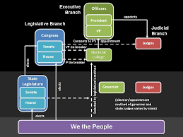 Federal And State Branches Of Government Chart