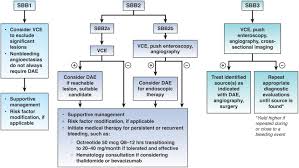 Image result for Small Intestinal Bleeding