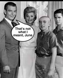 You shaved the wrong Beaver June!