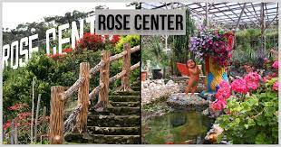 This place its really beautiful have a lots flower so nice. Rose Center Cameron Highlands Online