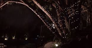 Each starbright™ comes with 150 super bright led bulbs that turn the most basic homes into a starbright is weatherproof. Star Bright String Lights Starbrightlights