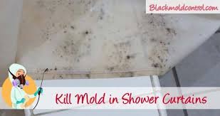 Do You Want To Know How To Get Rid Of Mould From Vinyl Or Plastic Shower Curtains Having Bla Plastic Shower Curtain Black Mold In Shower Clean Shower Curtains