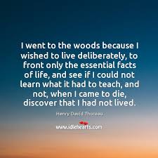 I Went To The Woods Because I Wished To Live Deliberately Idlehearts