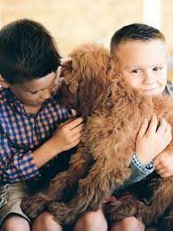 Boys Hugging Goldendoodle Natural At Home Family Photos College Station Photographer Ryan P Lifestyle Photography Family Family Photography Family Photos
