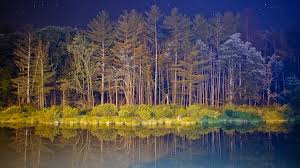 wallpaper android 5k 4k wallpaper forest landscape night pond nature 3430 wallpaper android 5k 4k wallpaper