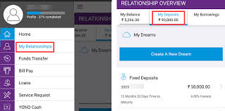 How To Check Sbi Mod Balance Statement Multi Option Deposit Alldigitaltricks