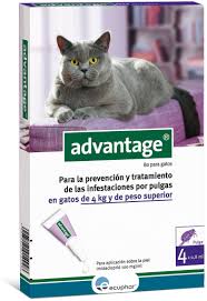 Ecuphar Advantage 80 4 Kg Daha Fazla Kediler Icin