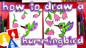 Animal jam is a fun online game where you can choose an animal to play as and then personalize the animal's look with different patterns and colors and later on with clothing. How To Draw A Cute Hummingbird Art For Kids Hub