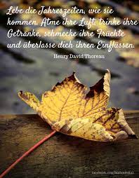 Herbst Jahreszeiten Zitat Spruch Weisheit Season Quotes Quotes Beautiful Fall
