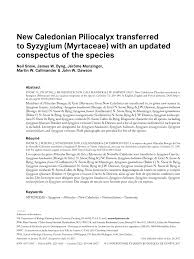 Image result for Syzygium komatiense