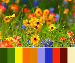 Maybe you would like to learn more about one of these? 33 Orange Color Schemes Inspiring Ideas For Modern Interior Decorating With Orange Colors