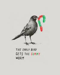 The Early Bird Gets The Worm Bird Silly Quotes Early Bird