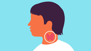 The hormones produced by the thyroid have a role in the growth cycle of the hair and its three stages: Pin On Health