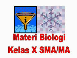 Materi biologi kelas 10 semester 1. Materi Biologi Kelas X Sma Lengkap Semester 1 Dan Semester 2