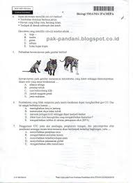 Maybe you would like to learn more about one of these? Soal Un Biologi Sma Tahun Pelajaran 2015 2016 Paket Soal 3 Blog Pak Pandani