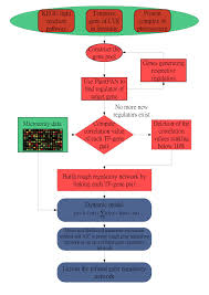 The Flow Chart For Constructing The Gene Regulatory Network