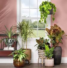 Many versions will have a catch tray or other mechanism built in to capture the overflow of water, but not always. 20 Best Indoor Planters Stylish Indoor Plant Pots