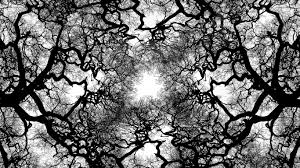 More images for black and white tree wallpaper » Free Download Wallpaper Black And White Tree Wallpapers 1366x768 For Your Desktop Mobile Tablet Explore 42 Wallpaper With Trees Wallpaper With Trees Designs Tree Background Wallpaper Birch Tree Wallpaper Home Depot