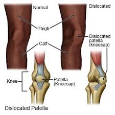 Portland's expertise in performing knee and shoulder arthroscopy. K9x2ltksb9axgm