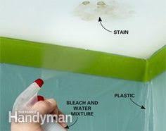 10 Minute Home Repairs Get Rid Of Mold Mildew Stains Mold In Bathroom