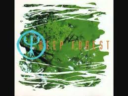 Image result for Dark Forest Green 1992 Fleet