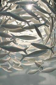 School Of Fish Scabetti Shoal I Have This In My Seafood Restaurant In Padstow In The Entrance Ceramic Fish Design Restaurant Interior