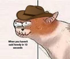 The most common cowboy hat meme material is metal. Big Chonky Cats Memes