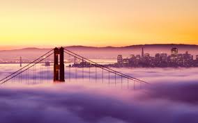 We did not find results for: Free Download San Francisco Wallpapers The Golden Area Through The Golden Gate Bridge