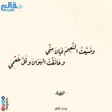 تبعتهم وضي عت الموالي فألقوا ل لض ب اع د م ي ولحمي Calligraphy Arabic Calligraphy