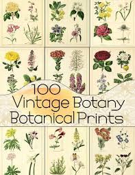 You can print just about any print size you need. 100 Vintage Botany Botanical Prints Floral Ephemera Series Band 1 Anders C Amazon De Bucher