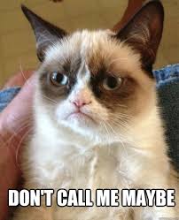 Don T Call Me Maybe Cat Meme Cat Planet Cat Planet