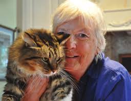 A Stroll Down Lantern Lane